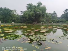 -国家植物园南园