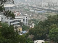 -金鸡山公园