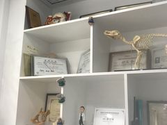 -伟伟宠物医院·CT影像中心·瑞派犬猫综合性门诊(汉口总院)