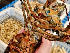 -碧海银沙海鲜餐厅(恒大海上威尼斯店)