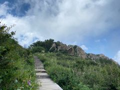 -白草畔自然风景区