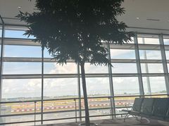 -樟宜机场免税店