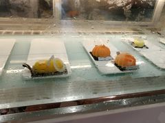 -西檬树SIMON·T轻奢蛋糕(大东方Max店)