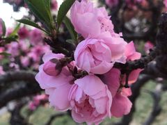-玲珑塔公园
