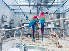 -大连森林动物园