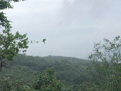 -鬼笑石后山停车场