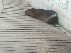 -石家庄市动物园