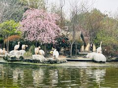 -成都动物园