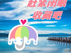 -巧克力渔家.小船海鲜家常菜(三浴场店)