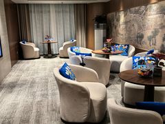 -郑州新郑国际机场T2航站楼-贵宾厅B区