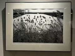 -江苏省美术馆(长江路新馆)