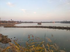 -翰园碑林