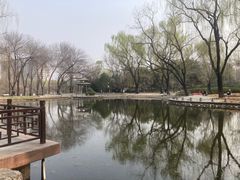 -玲珑塔公园
