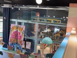-奈尔宝·儿童乐园·亲子餐厅(星河湾店)