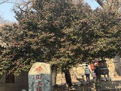 -青岛崂山太清宫
