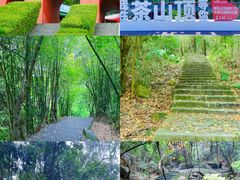 -东莞市大岭山森林公园