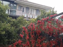 -怡得观滇餐厅·地道昆明菜·1996(海埂大坝店)