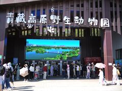 -青藏高原野生动物园