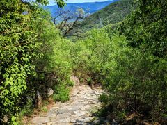 -阳台山自然风景区