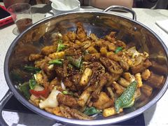-靓蛙馆