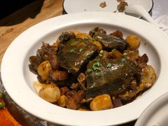 甲鱼-U你·天然调味(南湖总店)