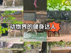 -广州动物园