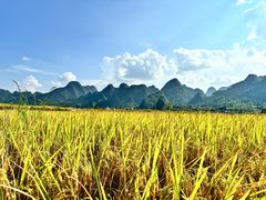 -万峰林风景区