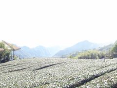 -优游吧斯邹族文化部落