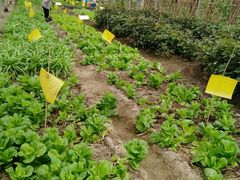 -上海多利农业发展有限公司