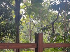 -熊猫自助餐厅.萌趣城堡(长隆熊猫酒店)