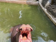 -贵州森林野生动物园