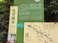 -莫里热带雨林景区