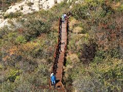 -大岭沟猕猴桃谷风景区
