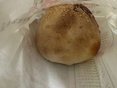 -百年夯碳烤胡椒饼(阿拉城店)