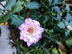 -博山九龙峪风景区