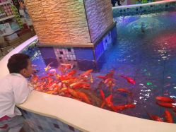 -堂堂乐儿童乐园(阳光100欧特福店)