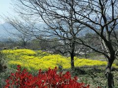 -塔川景区