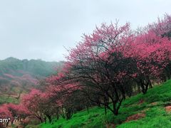 -溪口-滕头旅游景区
