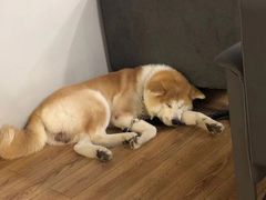 -YCHL Studios健身工作室(市二宫店)