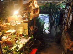 -懒鱼时光馆(沙坪坝店)
