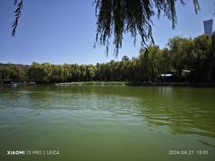 -团结湖公园