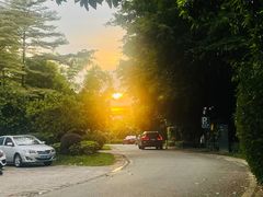 -福建鲤鱼洲酒店