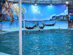 -尼莫海豚馆