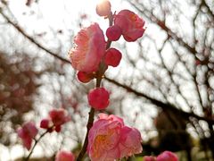 -阿哈湖国家湿地公园