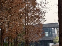 -白鹭湾湿地公园