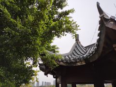 -飞来湖湿地公园