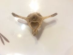 -蕃茄述·好汤自然来(江汉路店)