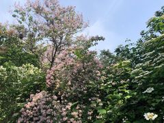 -国家植物园南园