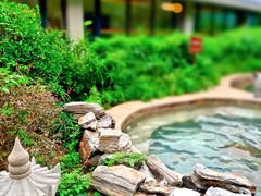 -中家鑫园温泉酒店鑫悦汤泉