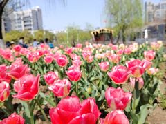 -杭州师范大学(下沙校区)
